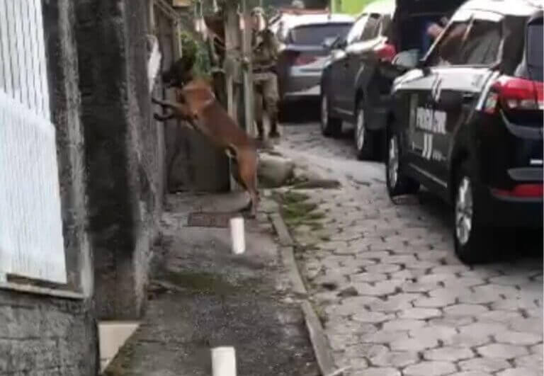 Mandados foram cumpridos nesta terça-feira (31) (Foto: Polícia Civil/Divulgação)