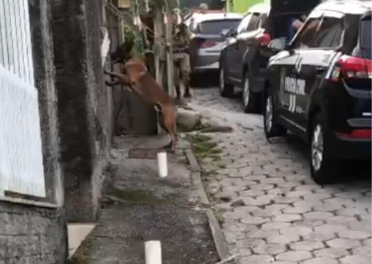 Mandados foram cumpridos nesta terça-feira (31) (Foto: Polícia Civil/Divulgação)