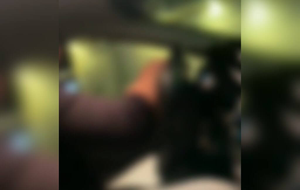 Caso ocorreu no Centro de Florianópolis (Foto: Polícia Civil/Divulgação)