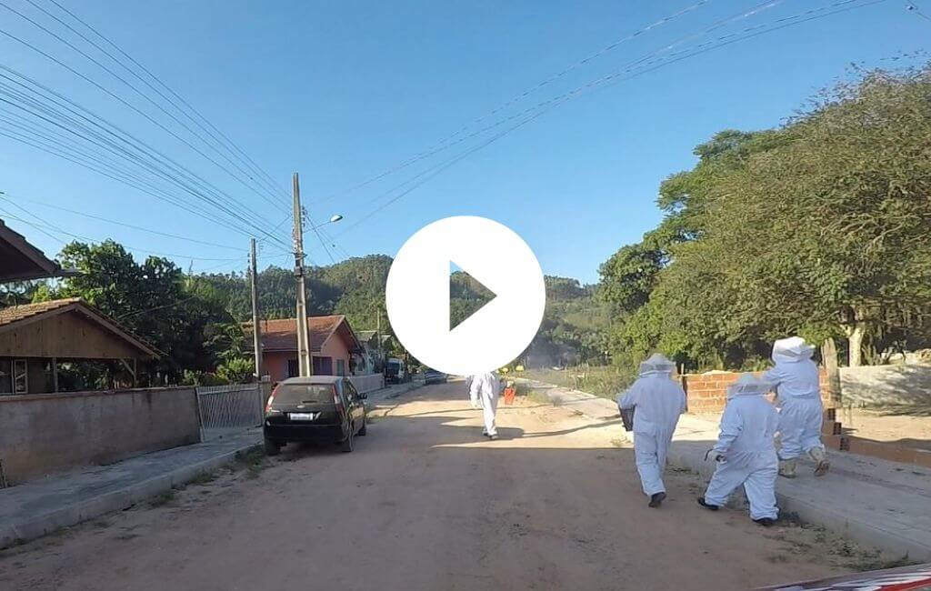 Bombeiros levaram duas horas para controla r a situação em Presidente Getúlio