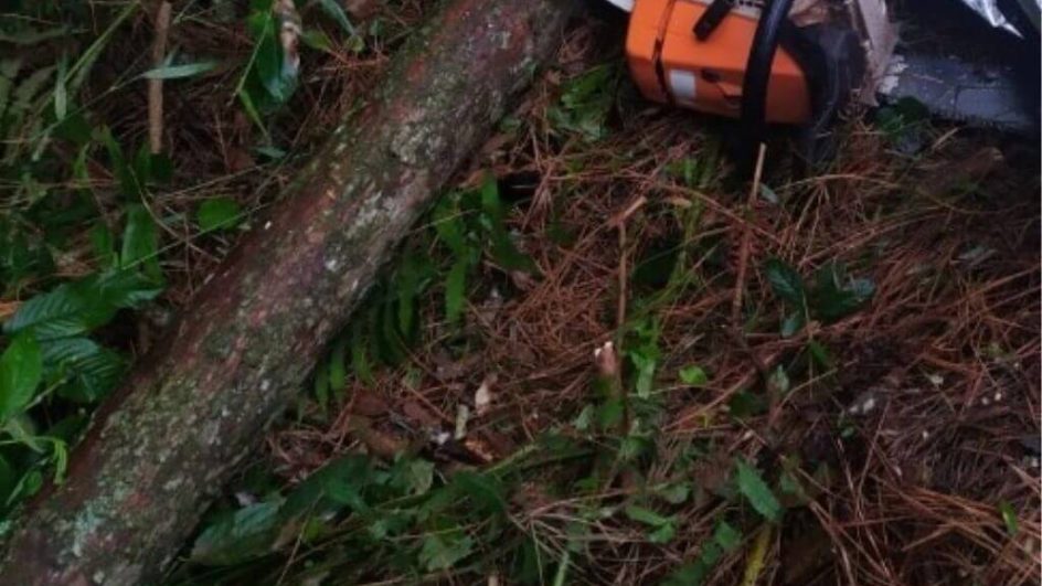 Vítima não foi identificada (Foto: Corpo de Bombeiros Militar, divulgação)