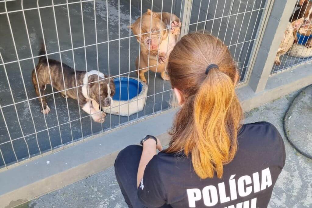 Canil em SC é alvo de investigação