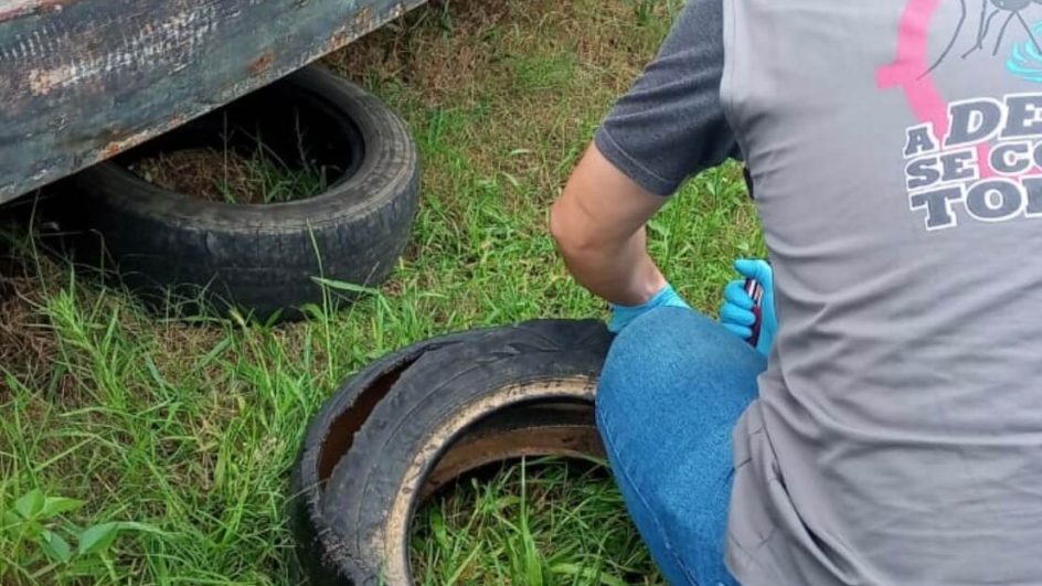 Combate à dengue em Balneário Camboriú