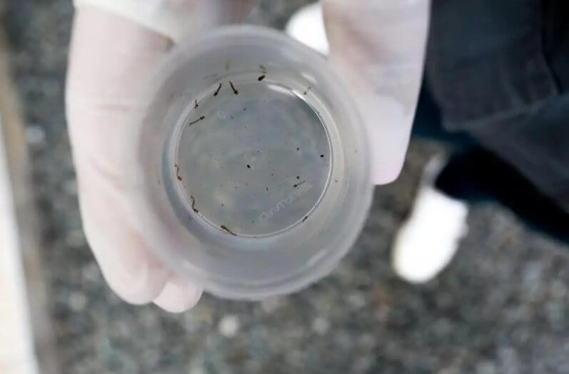 Joinville é a cidade com o maior número de casos (Foto: Prefeitura de Joinville, Divulgação)