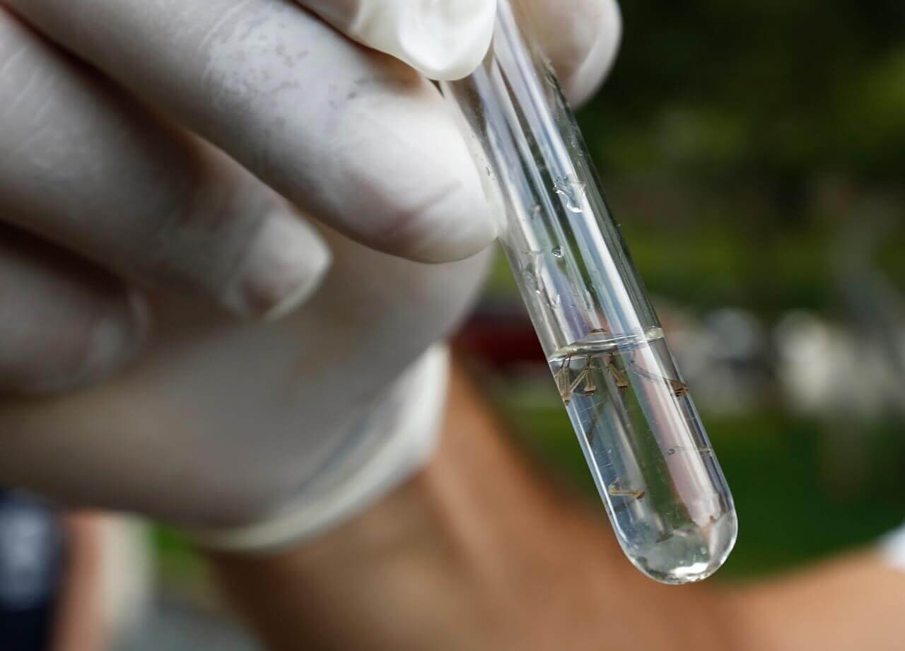 Mutirão contra a dengue em Joinville