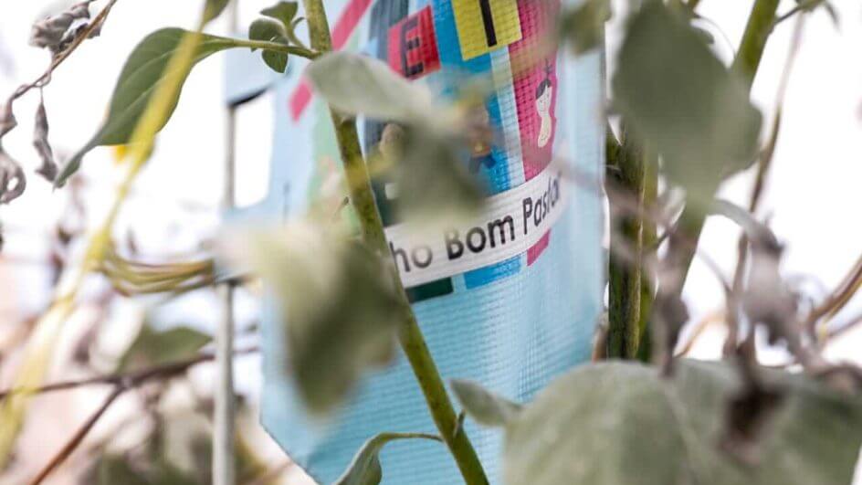 escola ataque blumenau