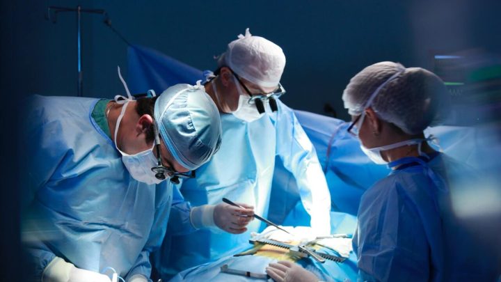 médicos atuarão em 114 municípios