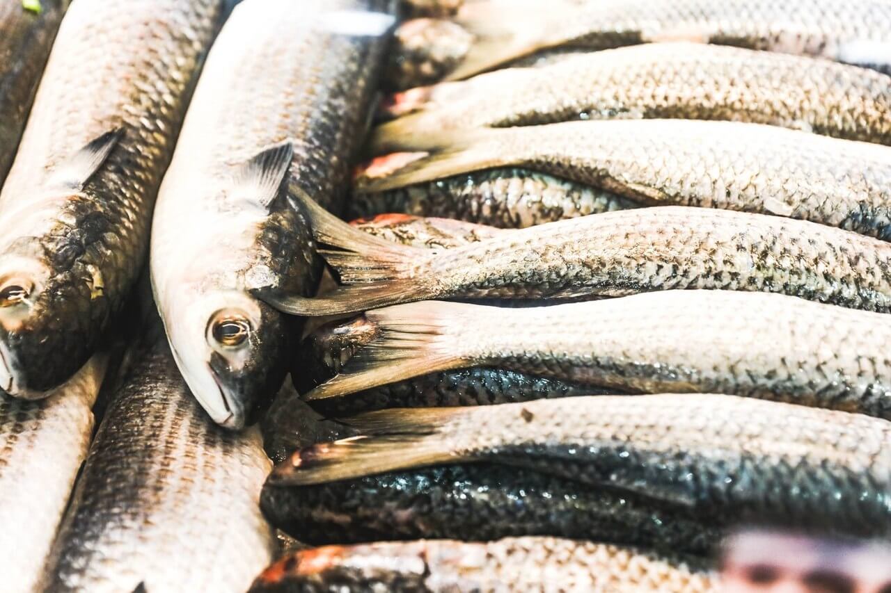 Pesquisa comparou o preço dos peixes no Mercado Público de Florianópolis