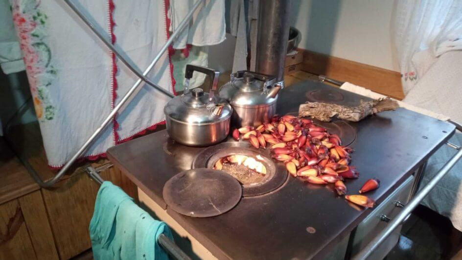 Pinhão na chapa é um dos atrativos do frio na Serra - (Foto: Cristiano Gomes/NSC TV)