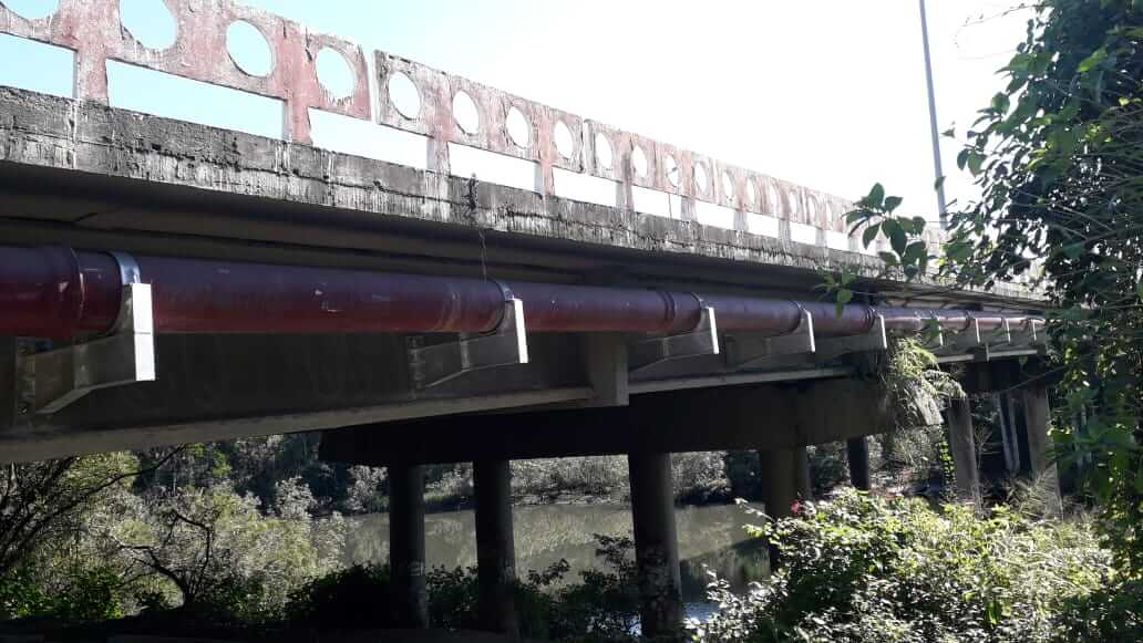 Capivara foi vista pela última vez nas proximidades da Ponte do Trabalhador