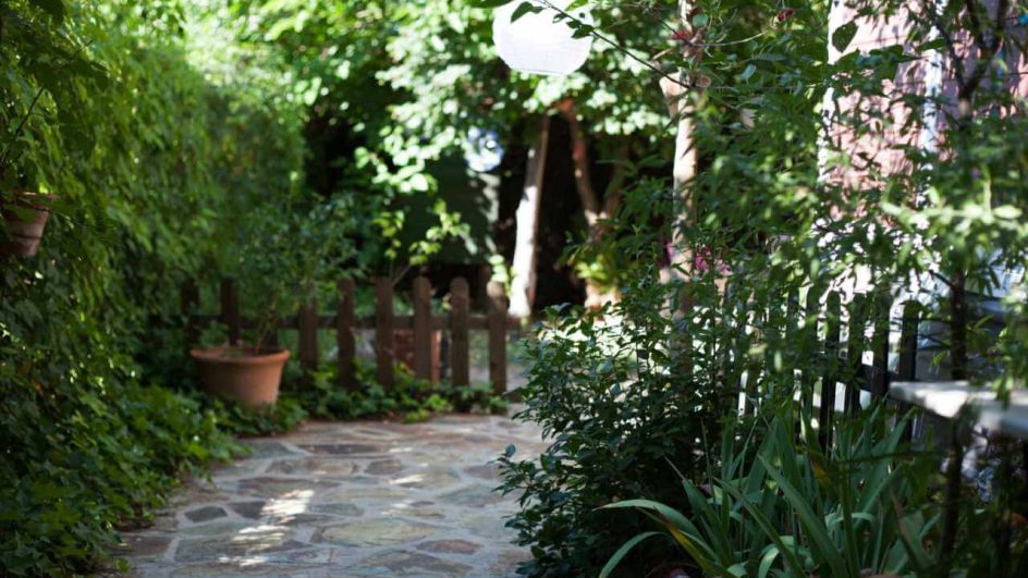 quintal-coluna-marcos-piangers