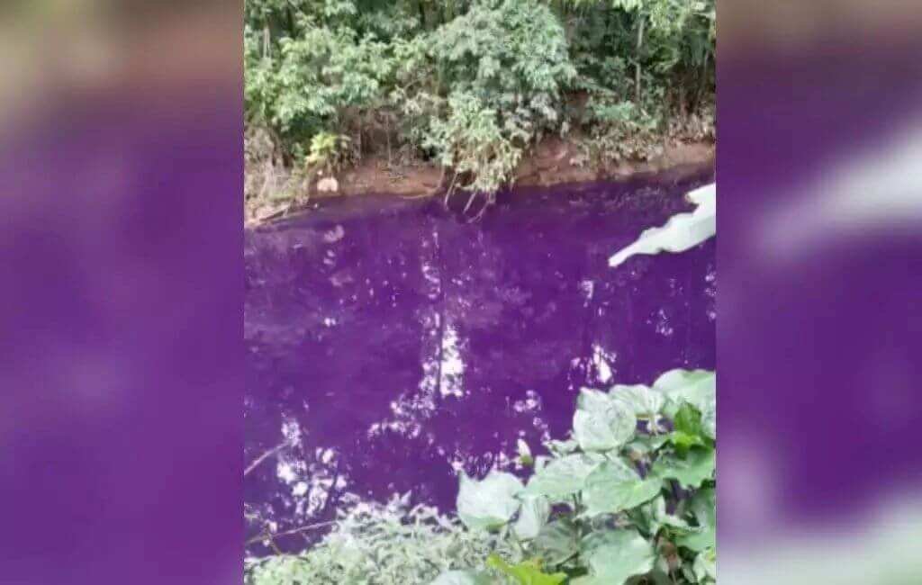 Coloração anormal foi vista no rio do Braço no último sábado