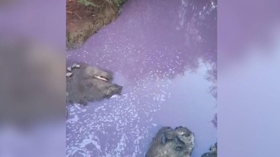 Rio fica com água roxa em Chapecó, no Oeste (Foto: Divulgação)