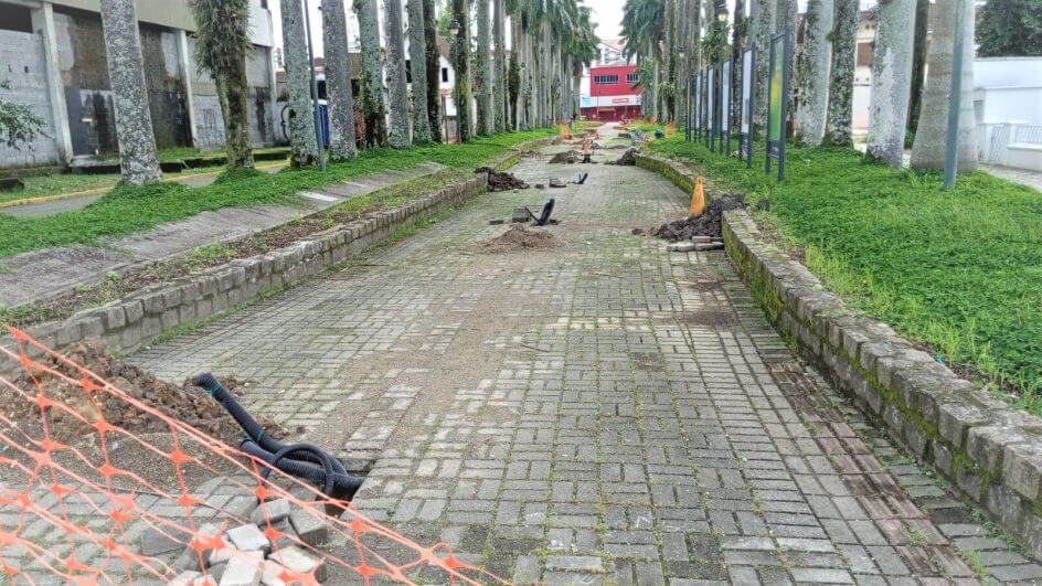 Obras na rua das Palmeiras começaram no mês passado