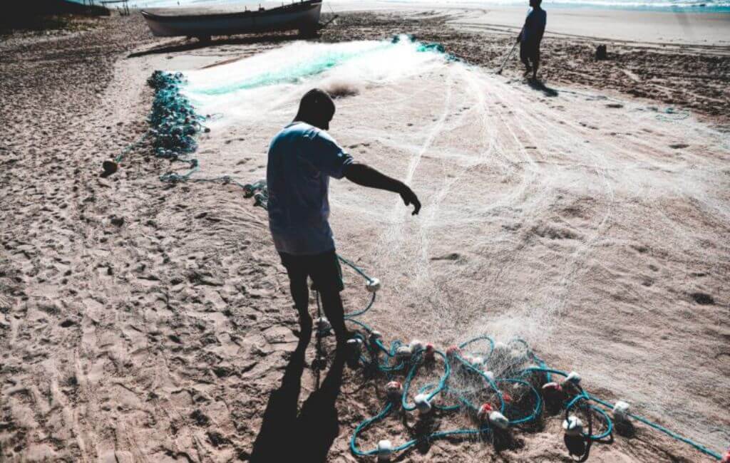 pesca da tainha