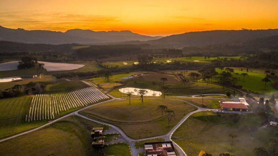 Vinícolas de SC oferecem opções como degustação de vinhos e piquenique