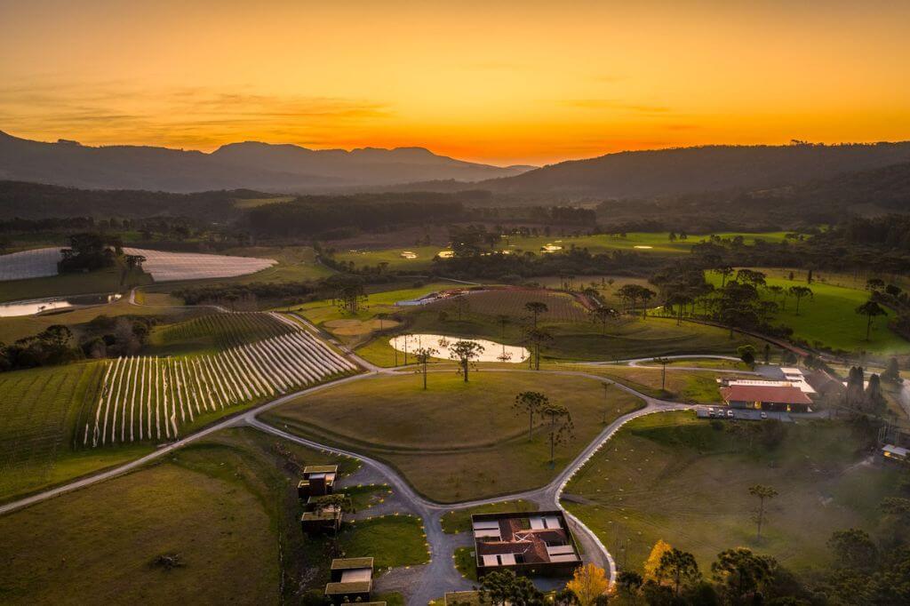 Vinícolas de SC oferecem opções como degustação de vinhos e piquenique