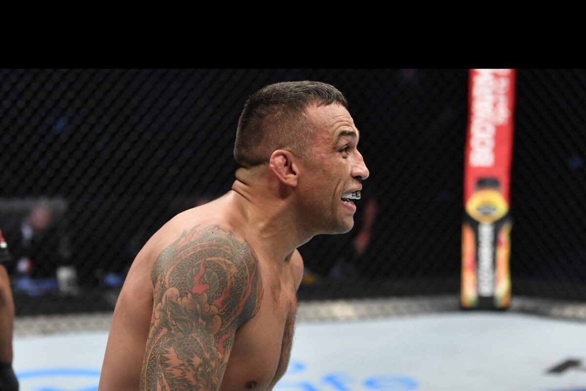 Fabricio Werdum (Foto: UFC/Divulgação)