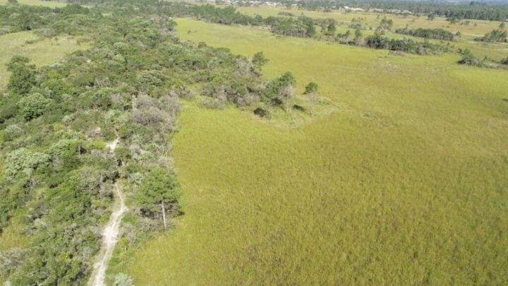 Parque Estadual da serra do tabuleiro