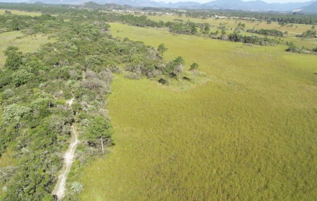 Parque Estadual da serra do tabuleiro
