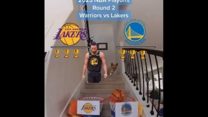 cachorro-playoffs-nba-1