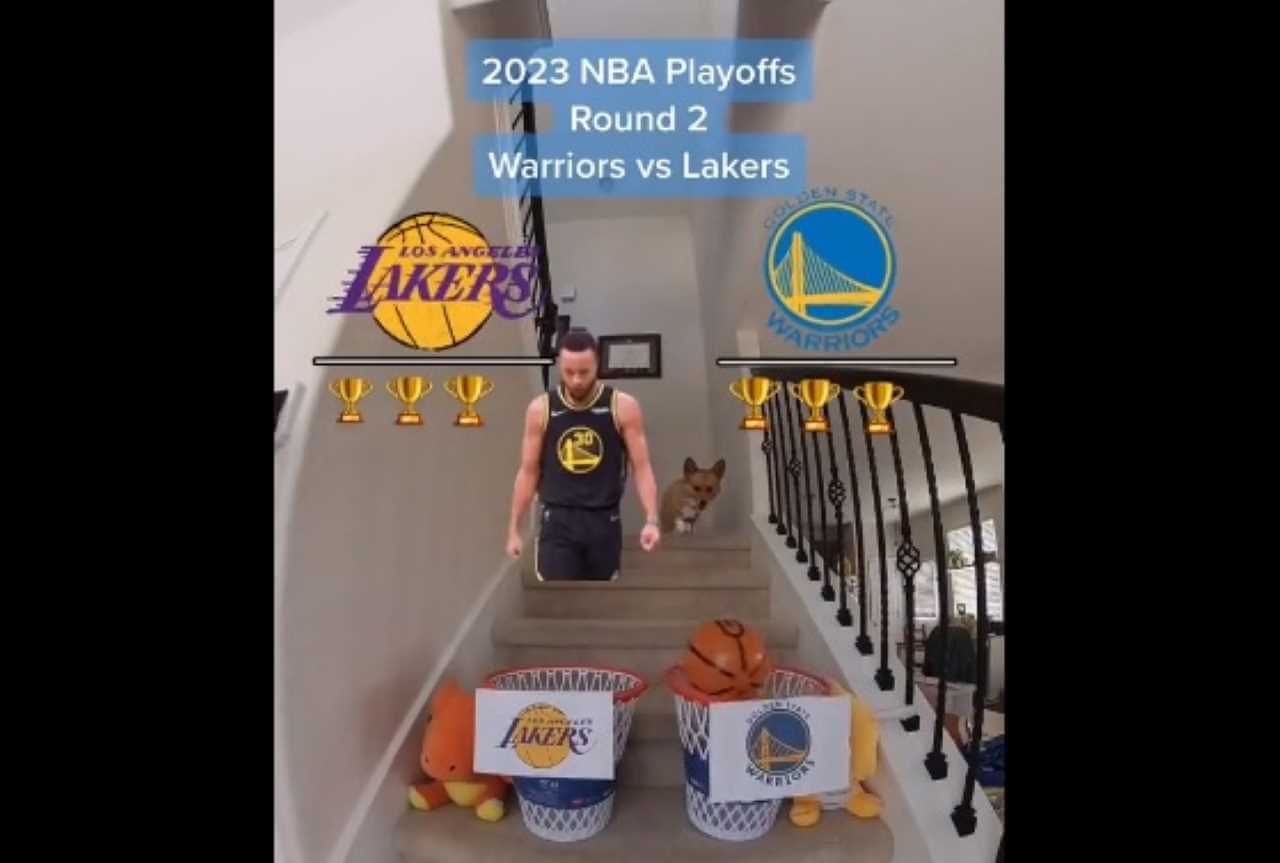 cachorro-playoffs-nba-1