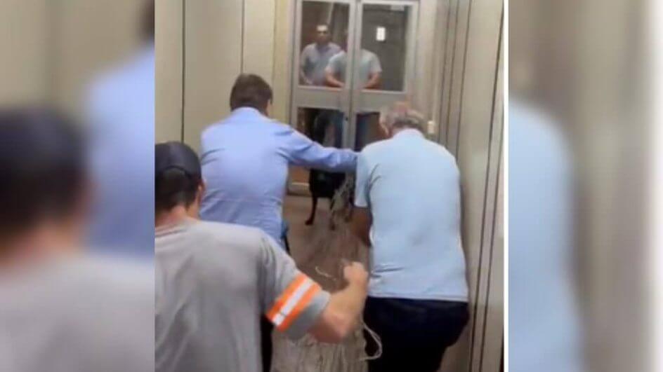 Cachorro foi capturado no prédio da prefeitura (Foto: Arquivo pessoal)