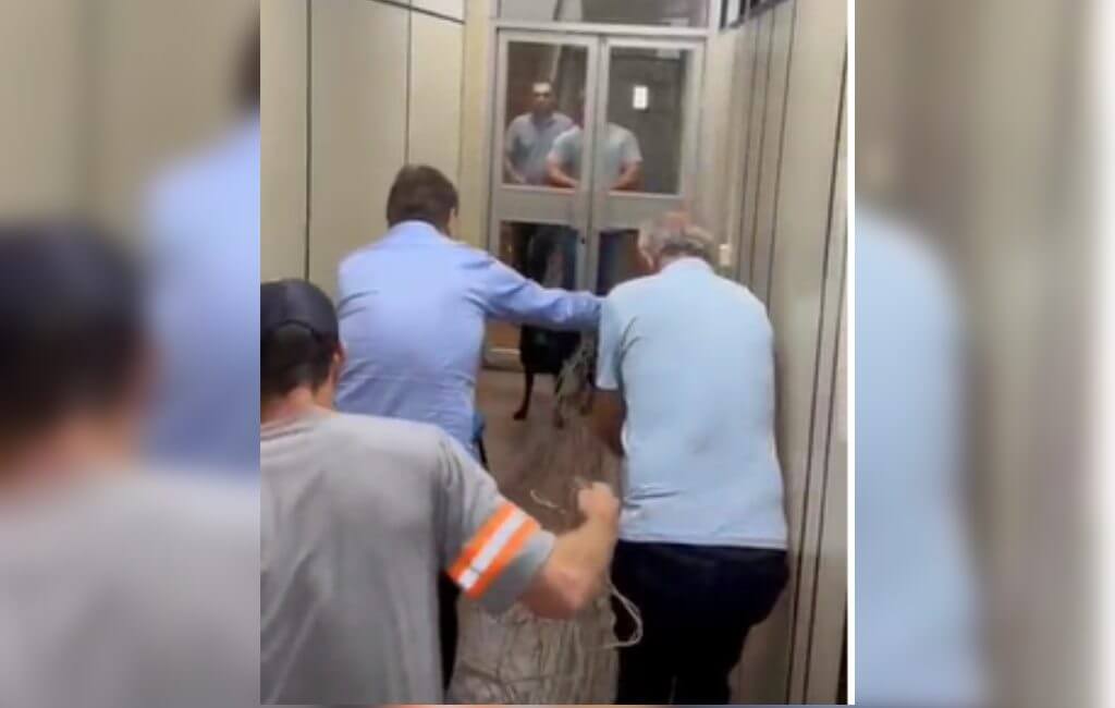 Cachorro foi capturado no prédio da prefeitura (Foto: Arquivo pessoal)