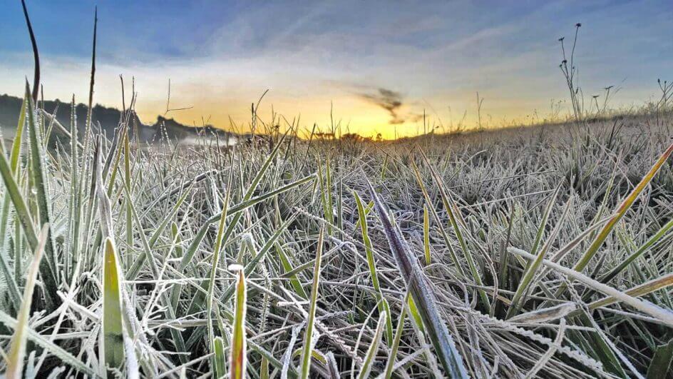 Gelo pintou a paisagem na Serra catarinense (Foto: Mycchel Legnaghi)