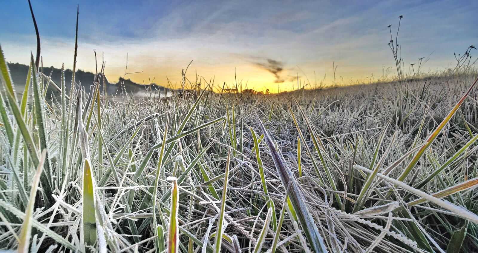 Gelo pintou a paisagem na Serra catarinense (Foto: Mycchel Legnaghi)
