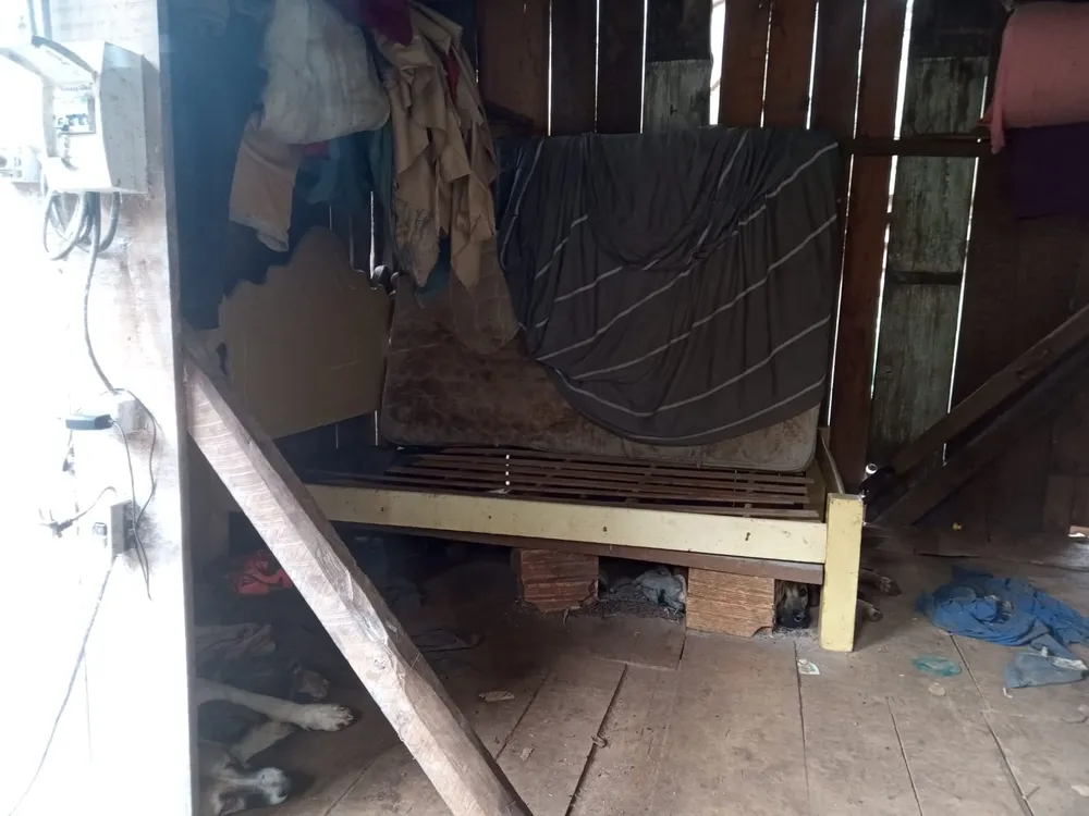 pequeno galpão de madeira com cama e roupas da vitima
