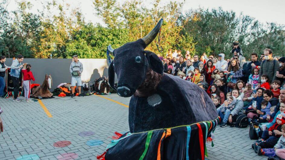 Boi de mamão é uma das atrações da Festa de São João no Rio Tavares.