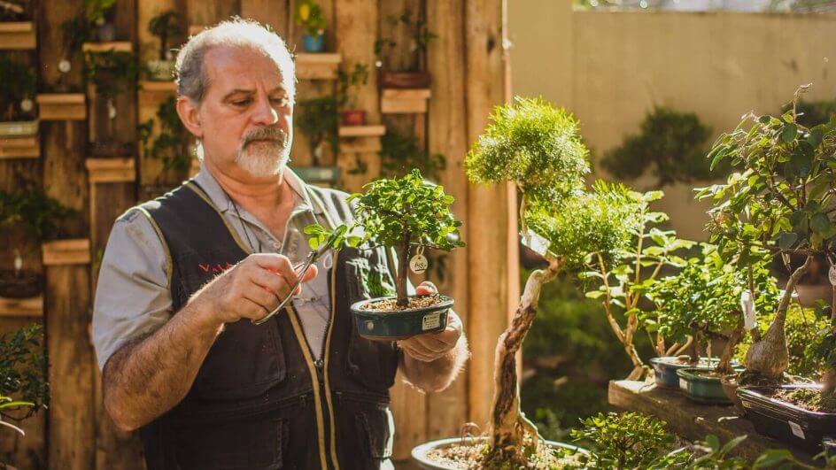 Valdoir Rocha da Silva, pai de Vinícius, fundou em 94 a Escola Viva Bonsai, em Porto Alegre.
