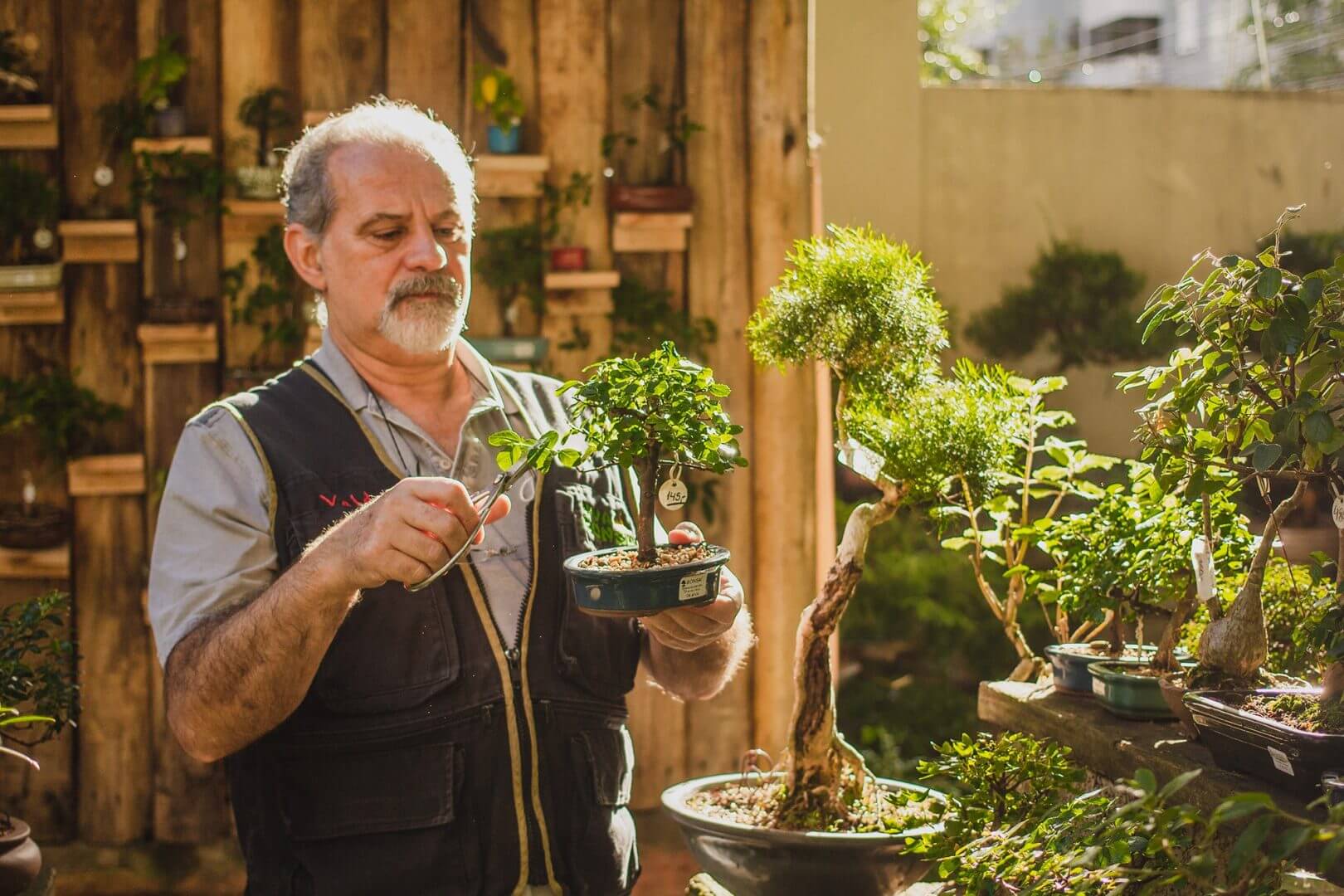 Valdoir Rocha da Silva, pai de Vinícius, fundou em 94 a Escola Viva Bonsai, em Porto Alegre.