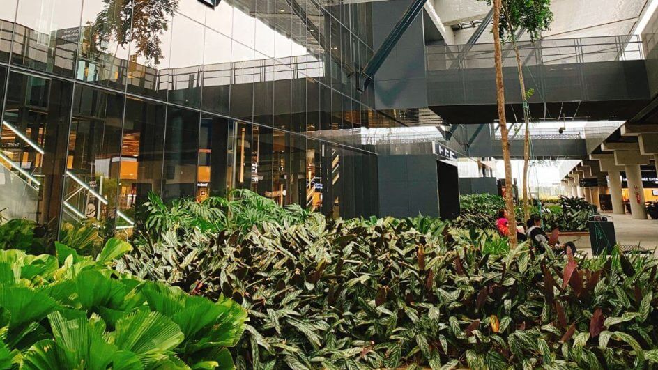 Aeroporto de Florianópolis