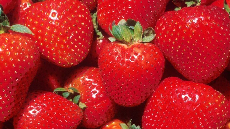 morangos e outros alimentos ajudam na prevenção do câncer