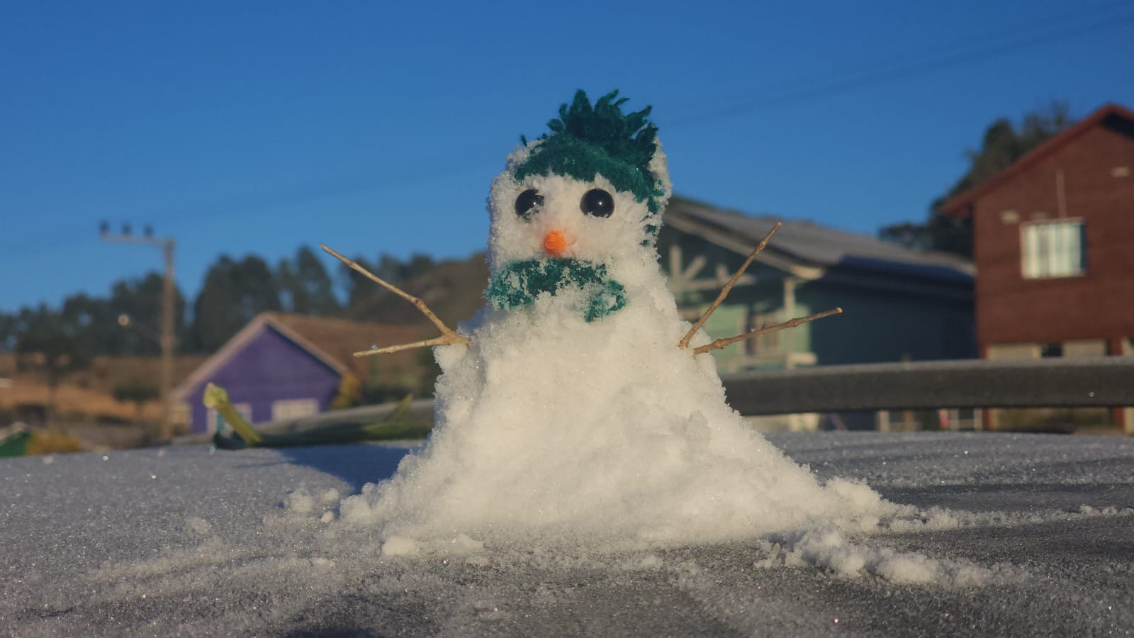 Boneco de "geada" encantou os moradores
