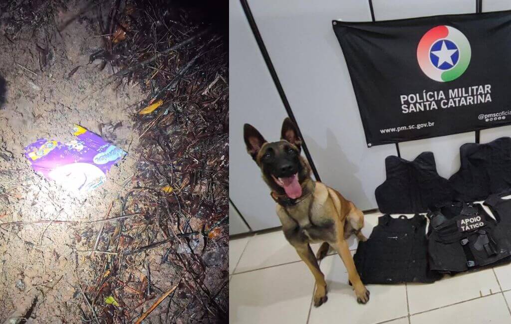 Material foi encontrado após escavação