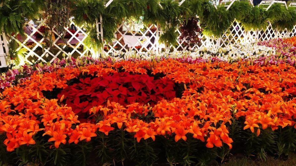 Evento acontece em novembro