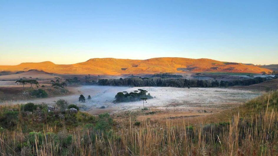 Geada pintou a paisagem de branco na Serra