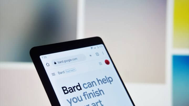 Bard do Google