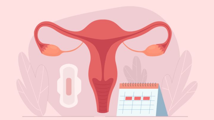 Ilustração de um útero, um absorvente e um calendário em tons de rosa