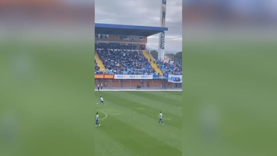 Cachorro desfila no Estádio da Ressacada durante Avaí e Tombense (Foto: Sarah Bruch/Arquivo pessoal)