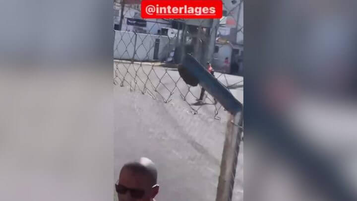 Enxame de abelhas chama atenção durante jogo do Inter de Lages (Vídeo: @Lucasgarciamic/Reprodução)