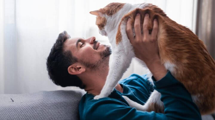 Homem sentado no sofá segurando gato nas mãos