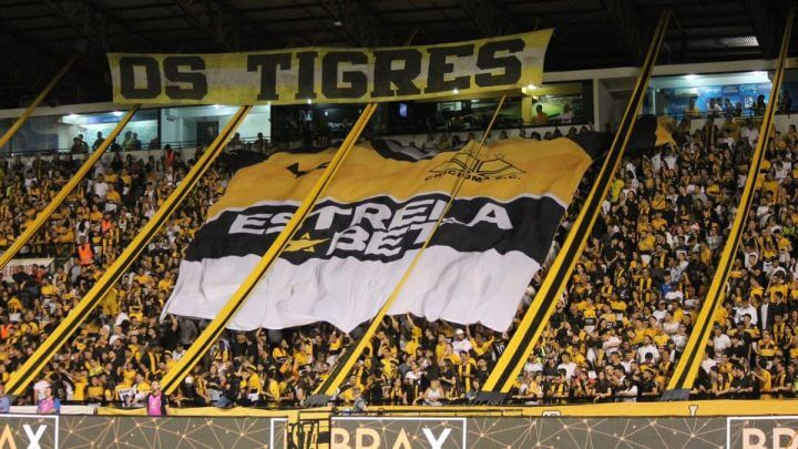 Torcida do Criciúma no Heriberto Hulse, no Sul de Santa Catarina (Foto: Celso da Luz/Criciúma/Divulgação)