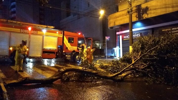 Árvore caiu sobre uma rua em Chapecó
