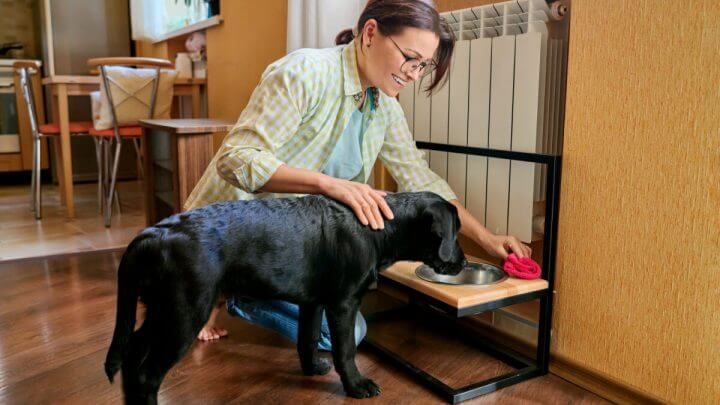 Mulher de óculos sorrindo e limpando comedouro de cachorro preto enquanto faz carinho nele