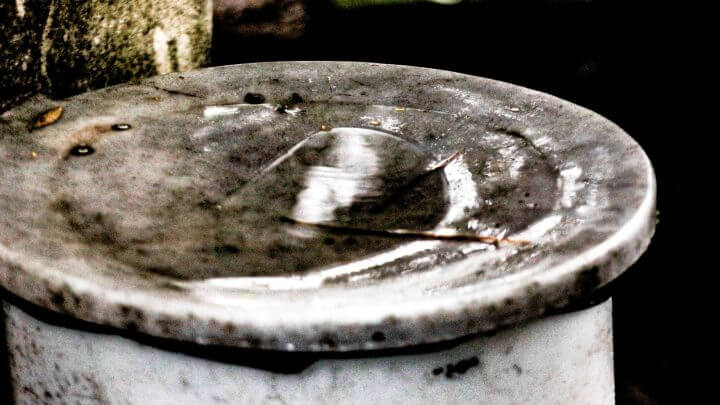 Ao menos 91 pessoas morreram em decorrência da dengue em Santa Catarina