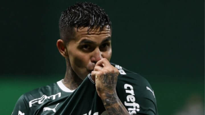 dudu-palmeiras
